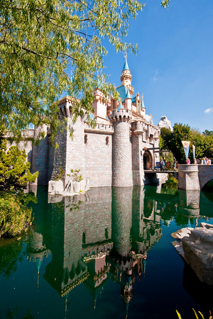 Disneyland Castle-00006